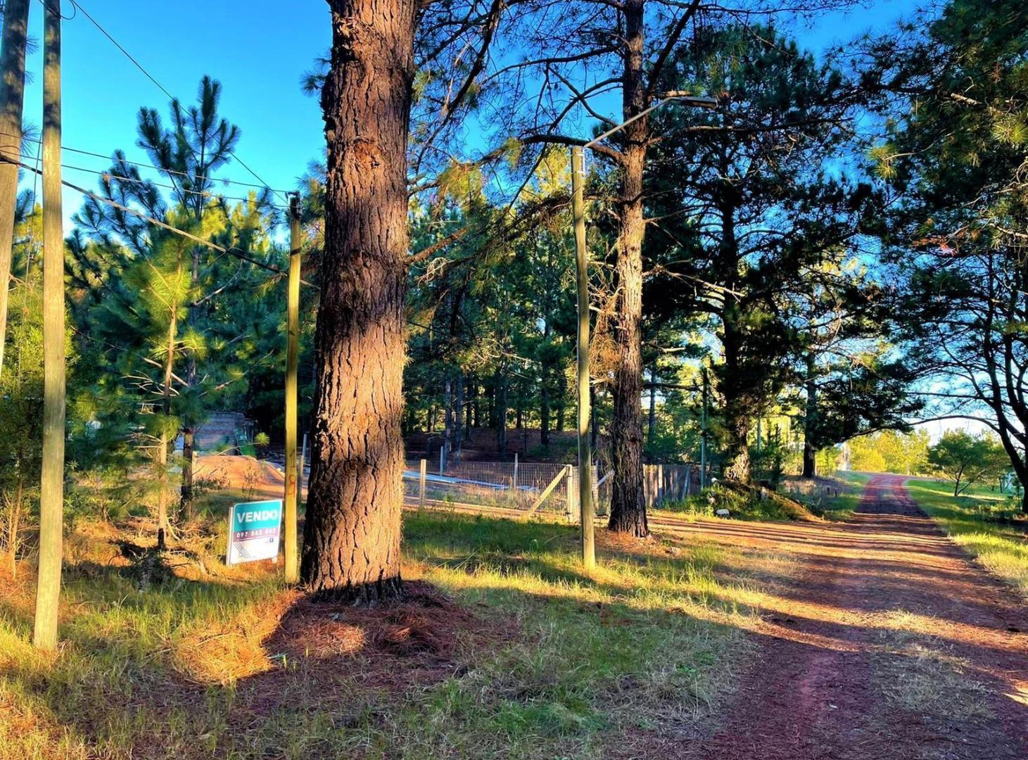 Foto de Venta - Terreno - Carmelo - Balneario Zagarzazu, imagen 2