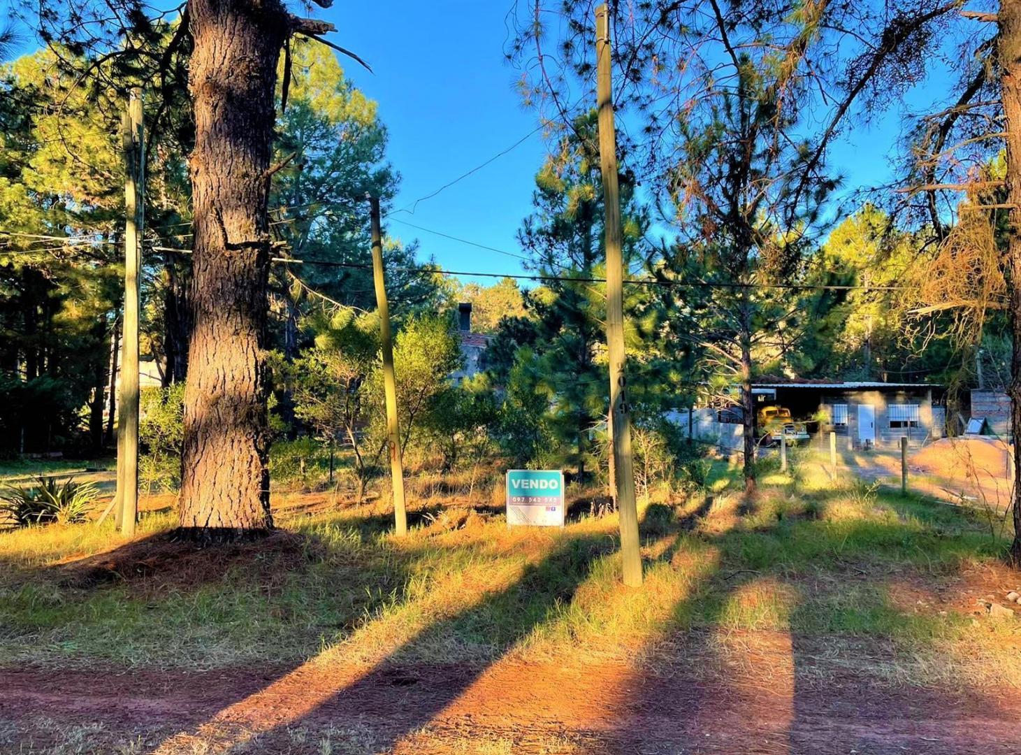 Foto de Venta - Terreno - Carmelo - Balneario Zagarzazu, imagen 3