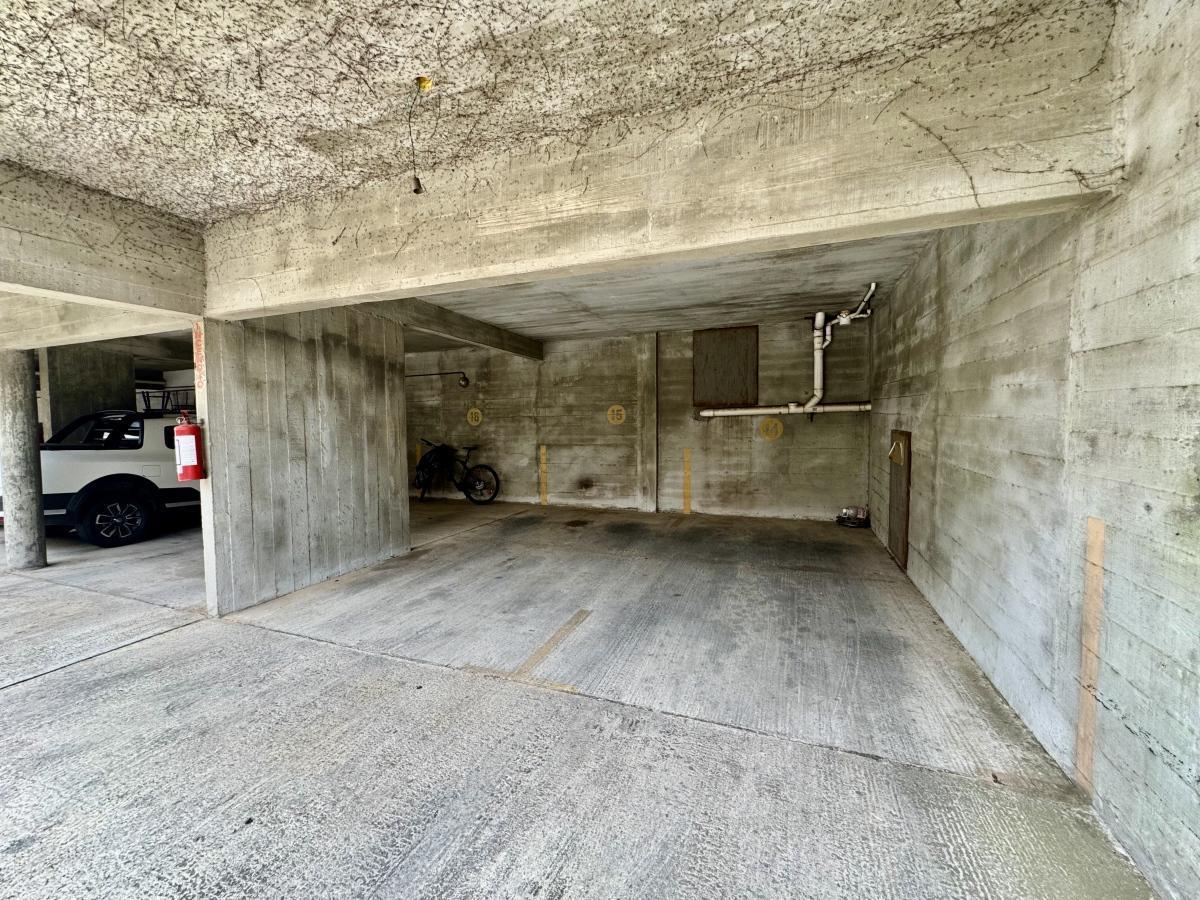 Foto de Cochera en Centro en venta en edificio Ginkgo, imagen 1