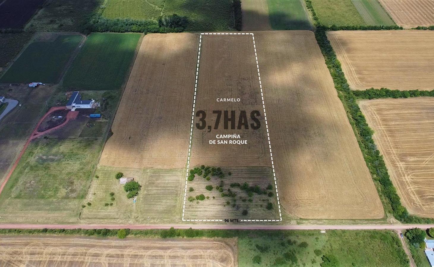 Foto de Venta - Chacra - 3.7 Hectareas - San Roque - Carmelo, imagen 3
