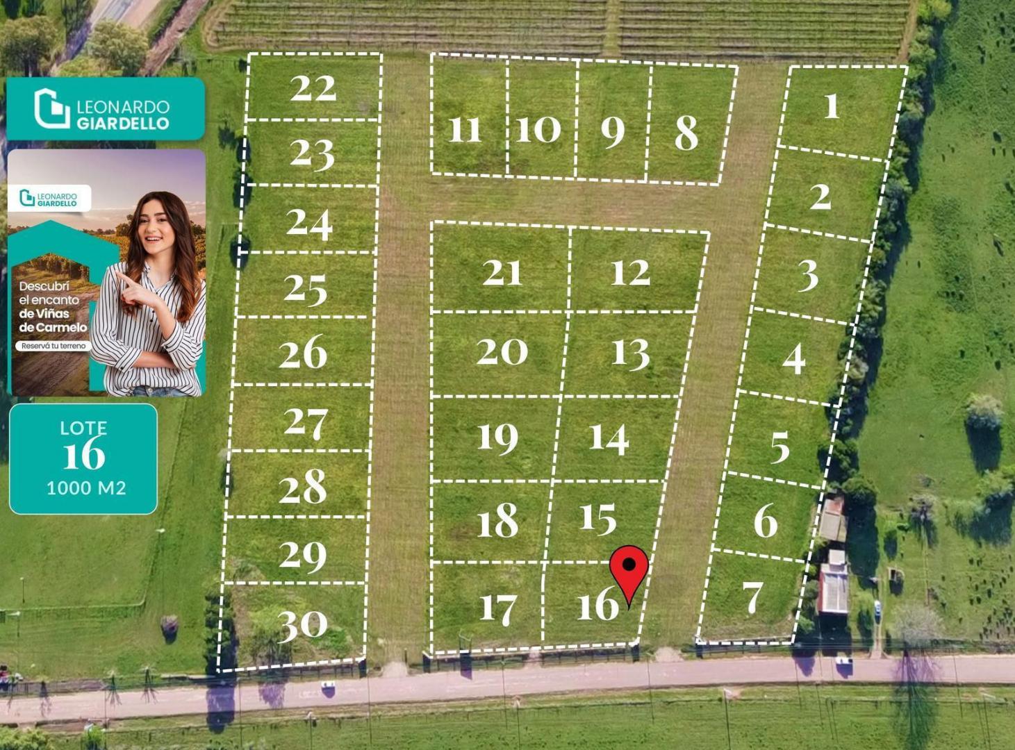 Foto de Venta - Terreno - Lote 11 - Carmelo - Barrio Viñas de Carmelo, imagen 3