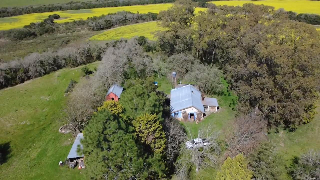 Foto de Venta de Campo de 85 hectáreas en Paso Antolín, Colonia, imagen 5