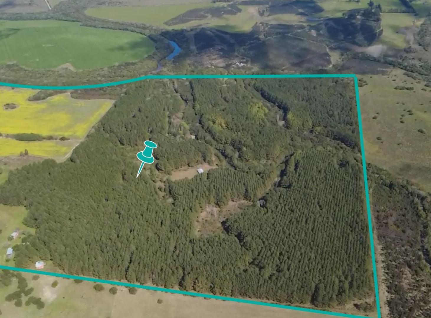Foto de Venta de Campo de 85 hectáreas en Paso Antolín, Colonia, imagen 4