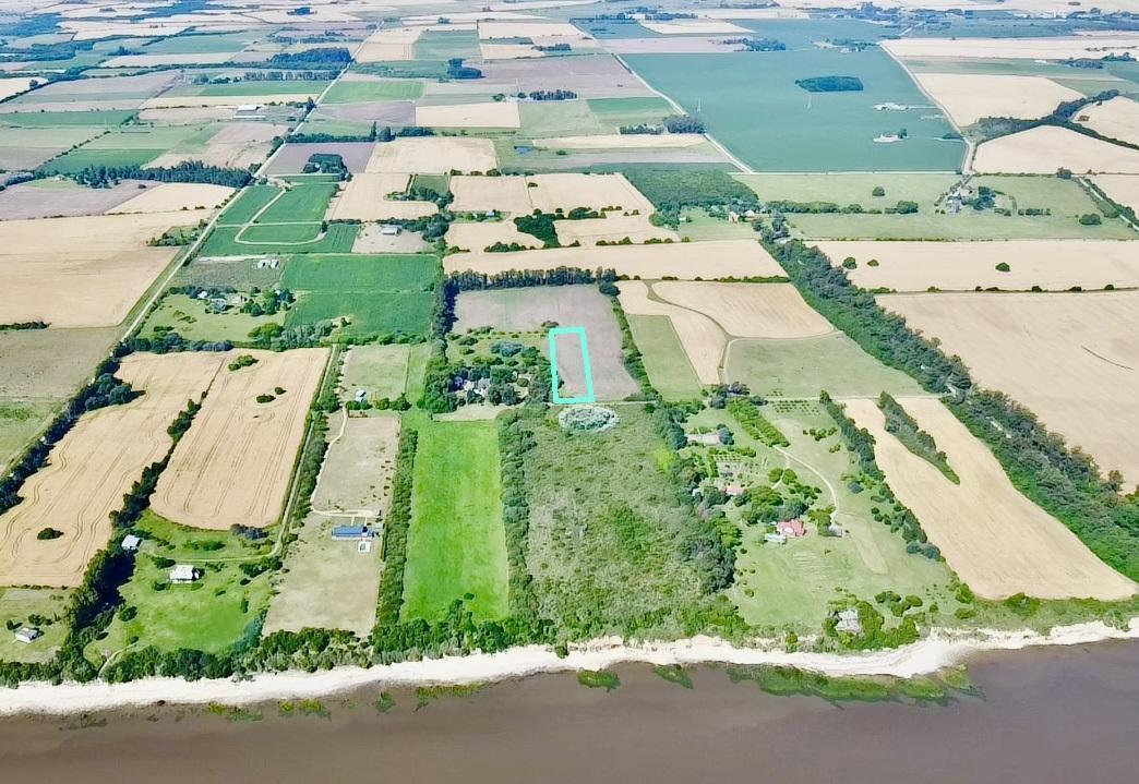 Foto de Colonia - San Pedro - Venta de Chacra de 1 hectárea 1642 m2, imagen 4