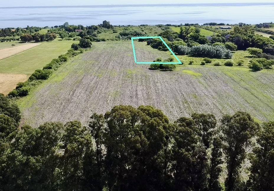Foto de Colonia - San Pedro - Venta de Chacra de 1 hectárea 1642 m2, imagen 2