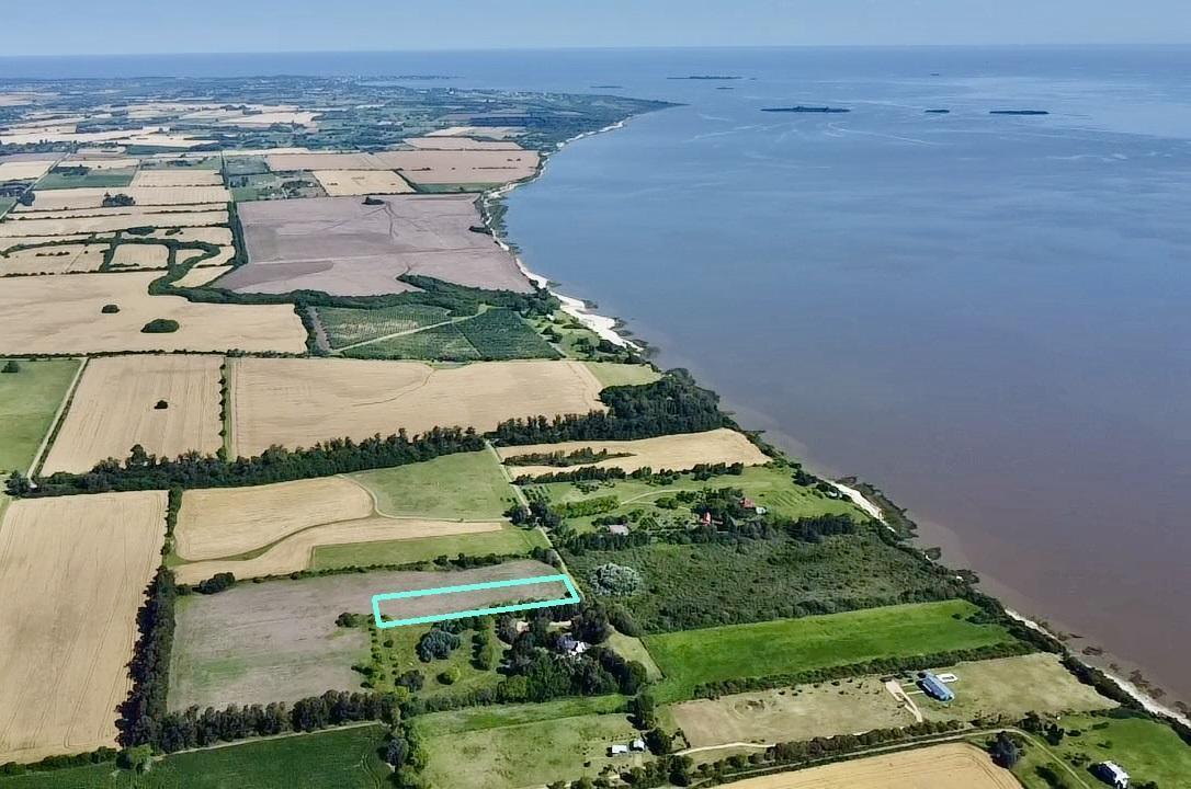 Foto de Colonia - San Pedro - Venta de Chacra de 1 hectárea 1642 m2, imagen 3