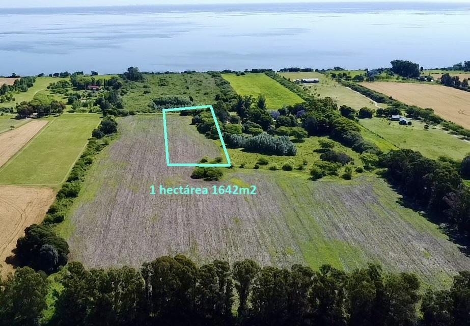 Foto de Colonia - San Pedro - Venta de Chacra de 1 hectárea 1642 m2, imagen 5
