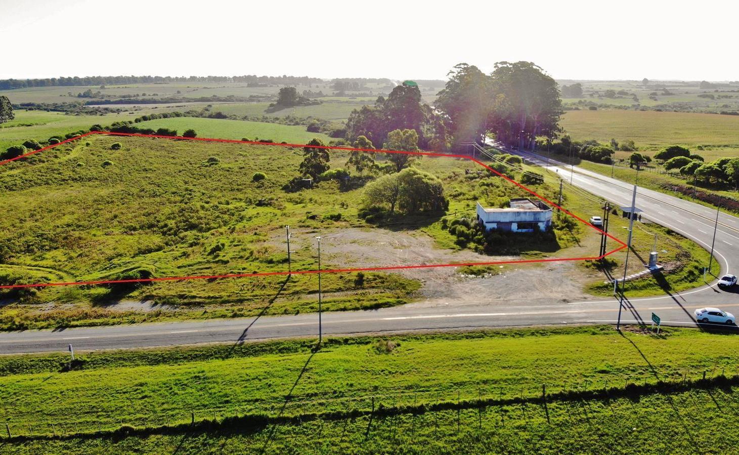 Foto de Venta de Campo de 5 hectáreas en Artilleros, Colonia, imagen 4