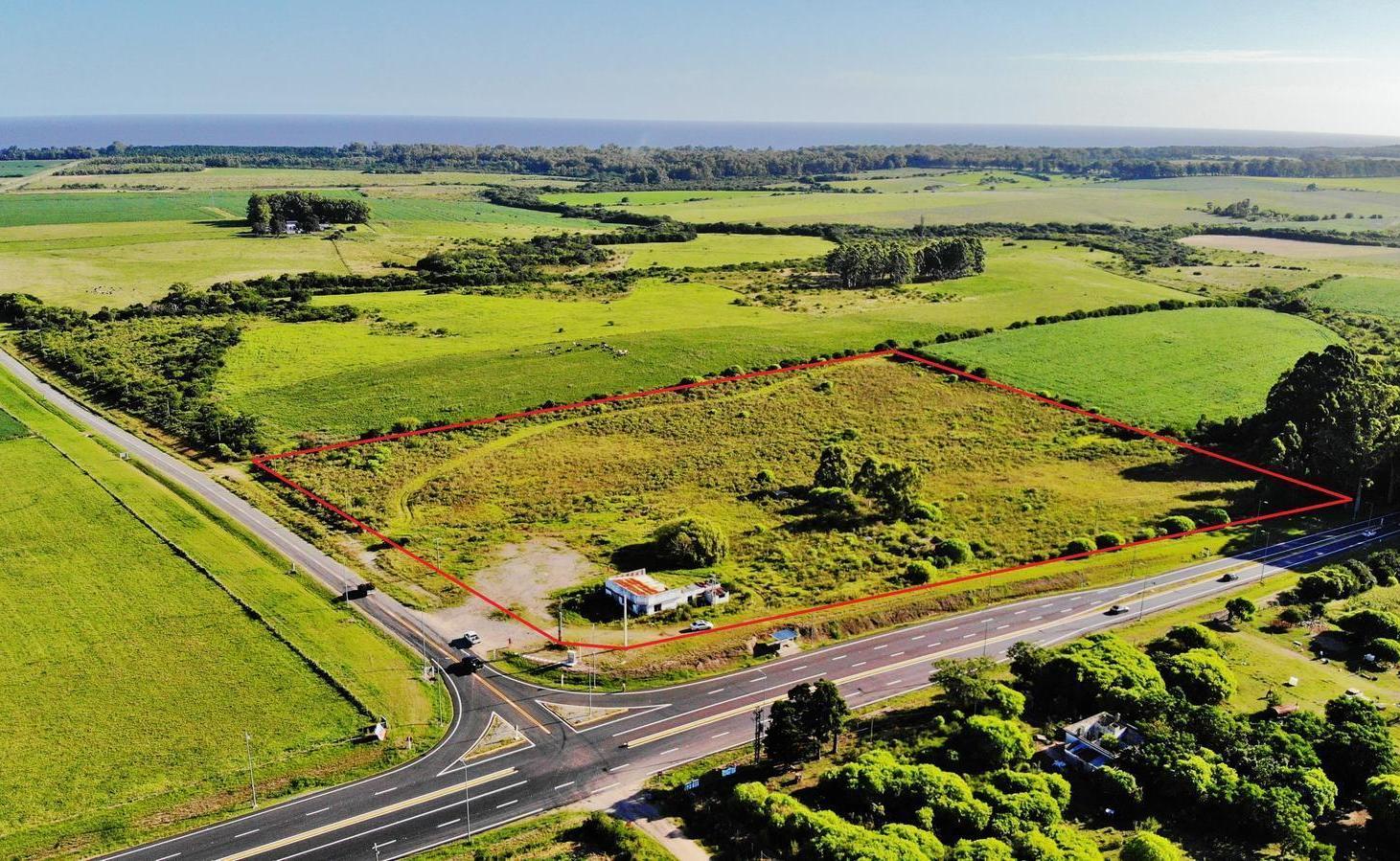 Foto de Venta de Campo de 5 hectáreas en Artilleros, Colonia, imagen 5
