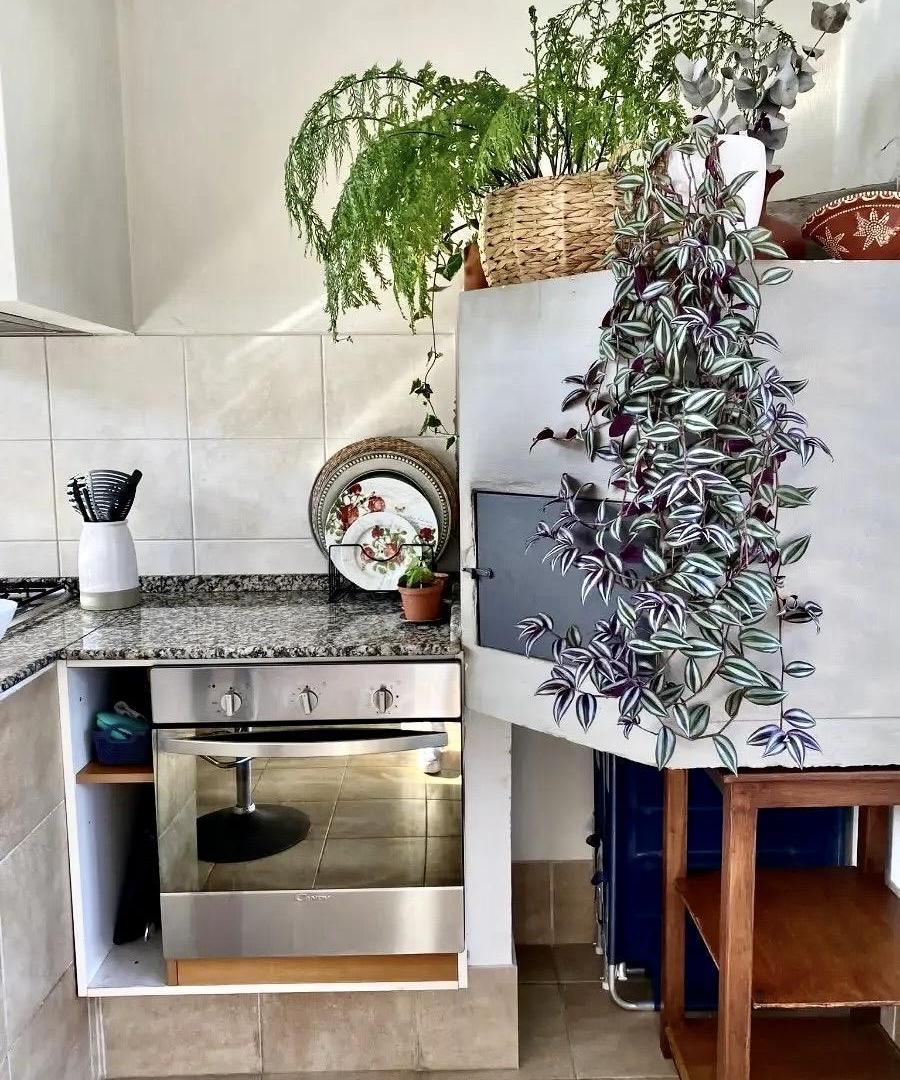 Foto de Alquiler de Casa de 2 dormitorios en La Blanqueada, Montevideo, imagen 4