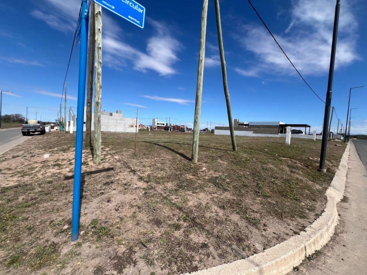 Foto de VENTA- LOTE ESQUINA 275M2- DOCTA CENTRAL, imagen 2