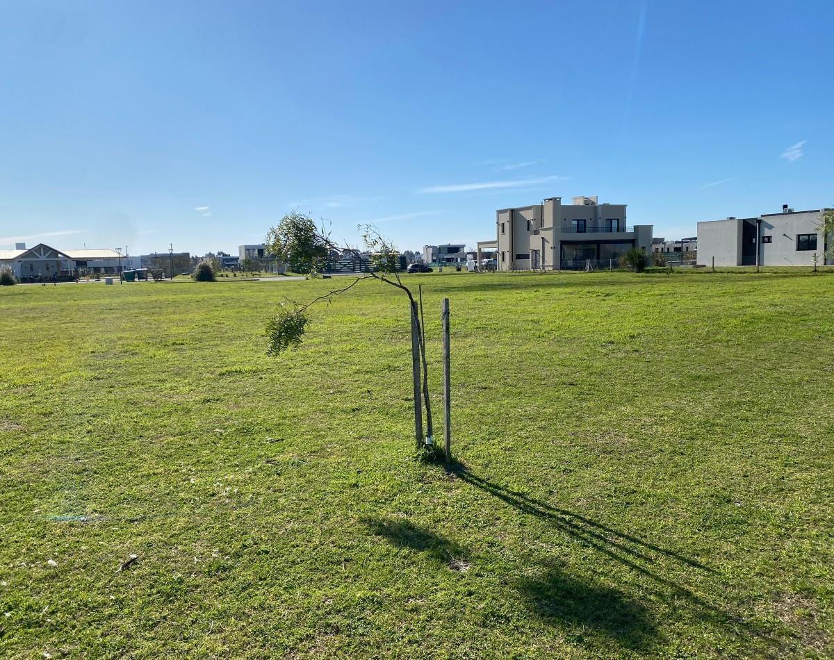 Foto de Exclusivo Lote en Sebatian Gaboto de 668, imagen 3