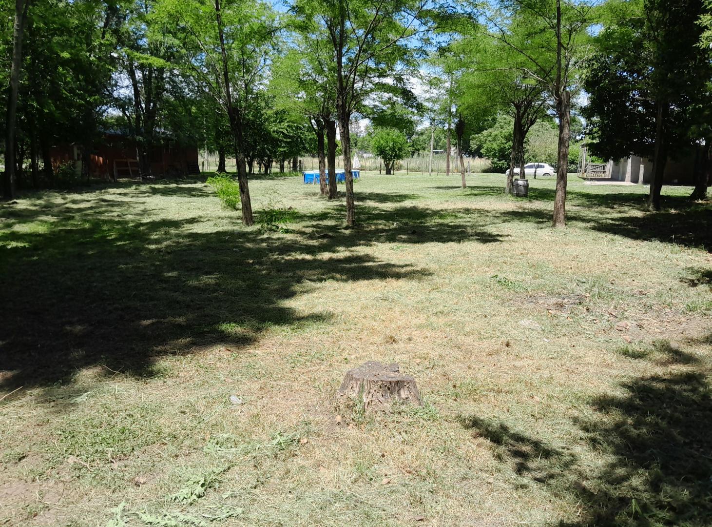 Foto de Casa de campo en Ramon Biaus, imagen 3