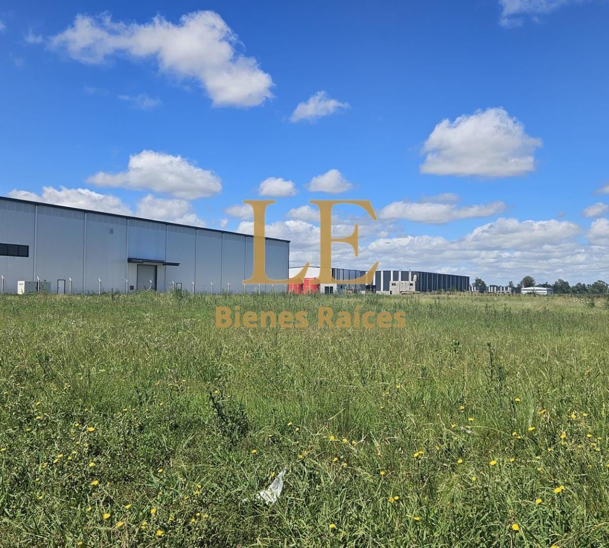 Alquiler Deposito 6000 m² 5