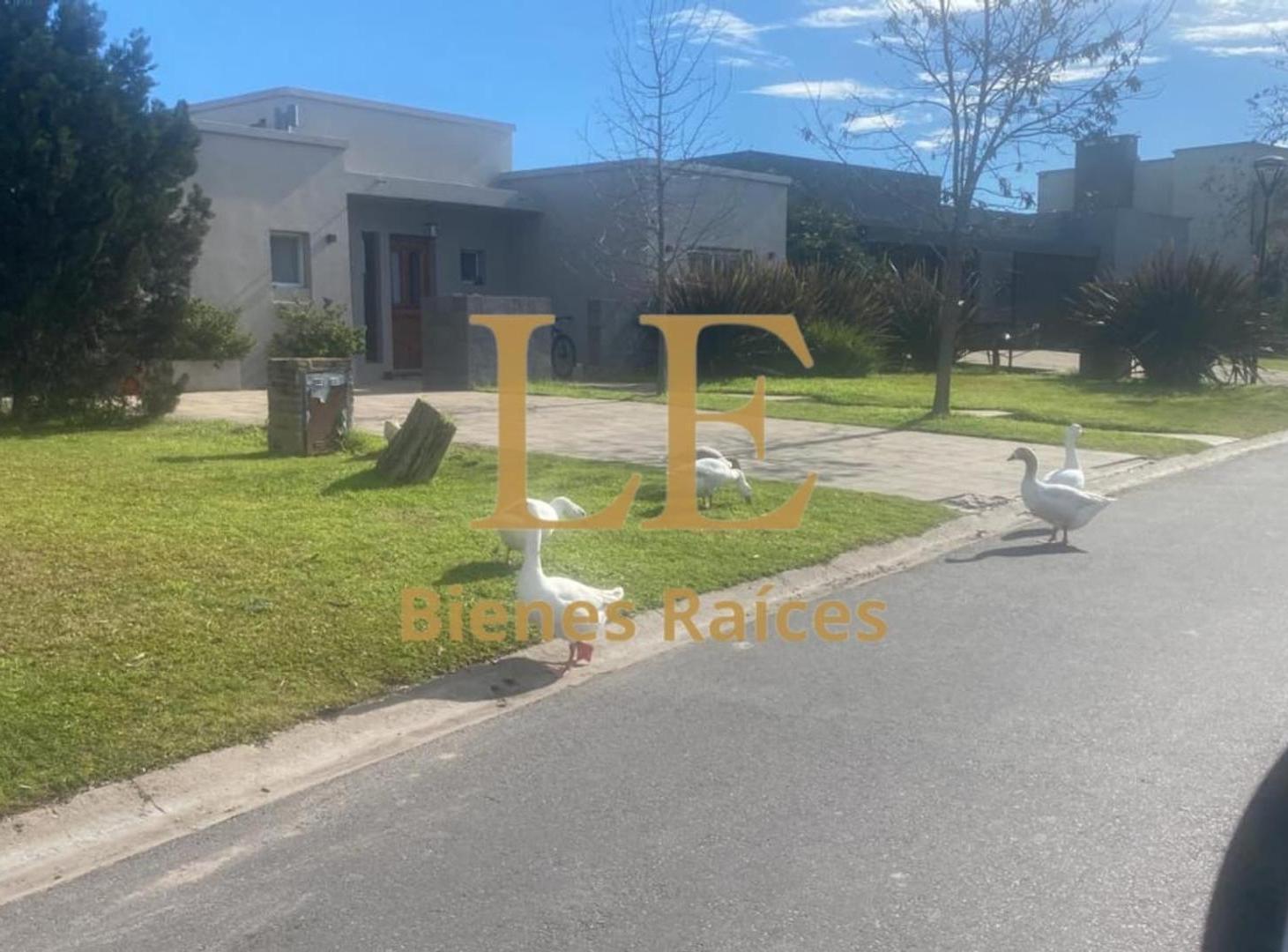 Foto de Venta Terreno en el Canton, imagen 5