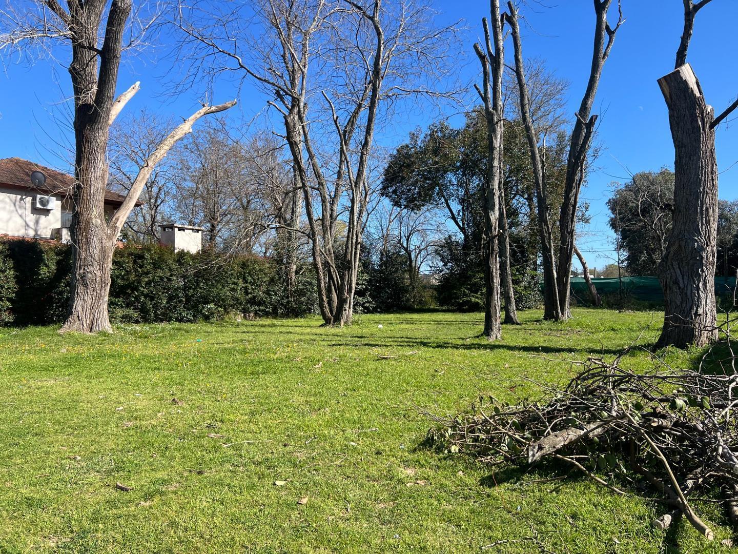 Foto de Terreno en venta Barrio El Aromo, imagen 2