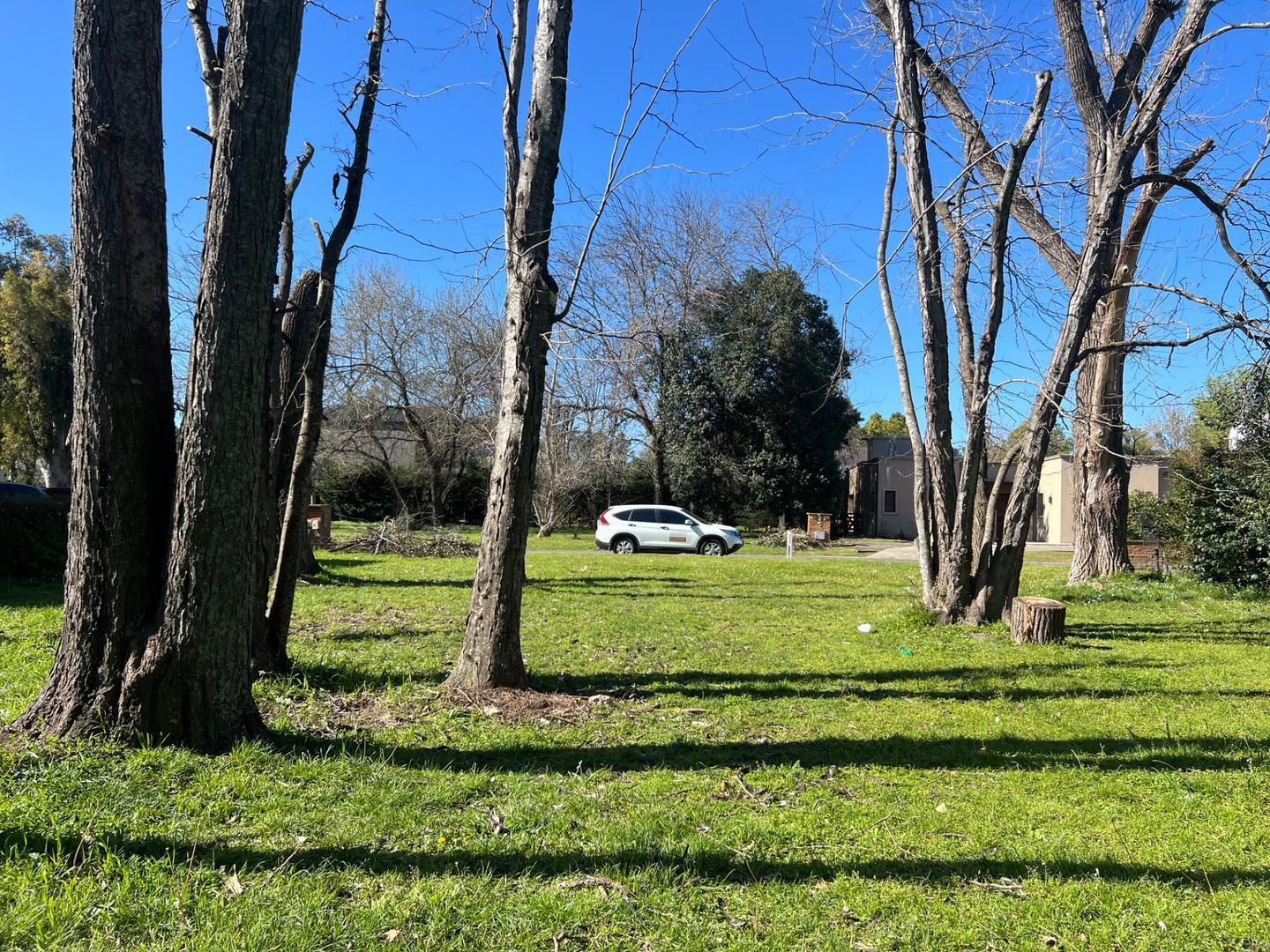 Foto de Terreno en venta Barrio El Aromo, imagen 4