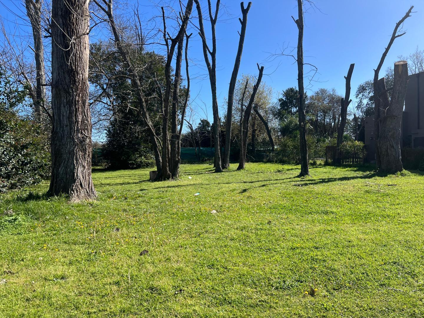 Foto de Terreno en venta Barrio El Aromo, imagen 5