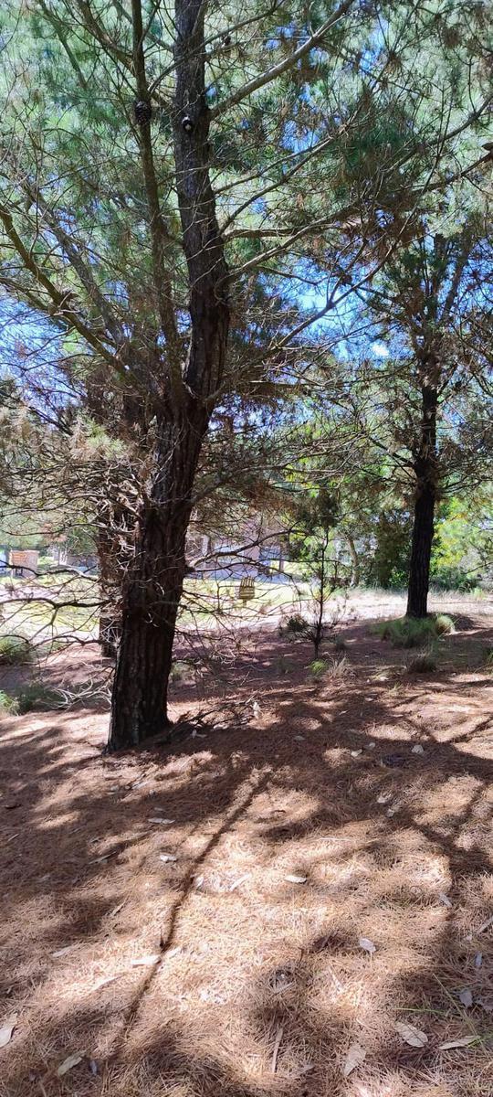 Lote en Venta Interno Costa Esmeralda Barrio Golf 1 con Vista Al Golf 3