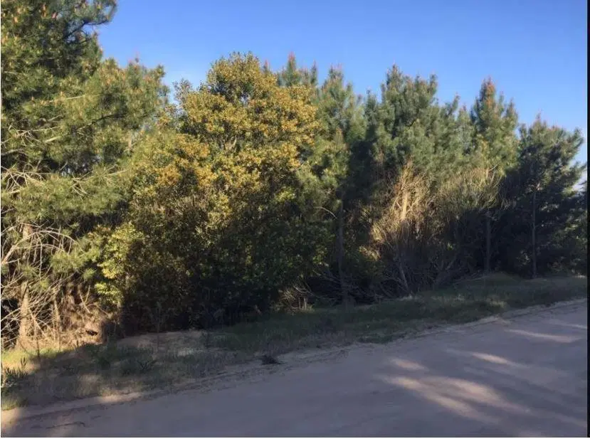 Lote en venta con Fondo Libre y Orientación Noroeste Costa Esmeralda Senderos III 2