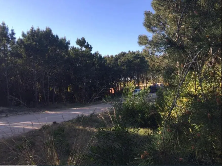 Lote en venta con Fondo Libre y Orientación Noroeste Costa Esmeralda Senderos III 3