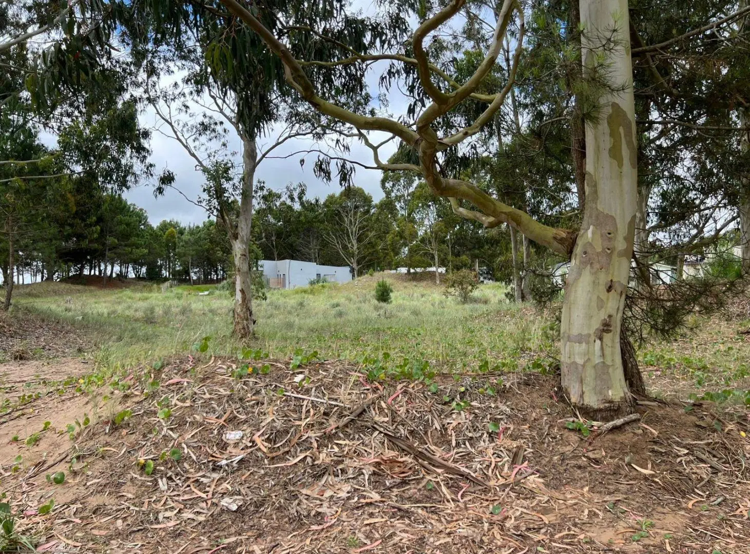 LOTE EN VENTA Interno    BARRIO ECUESTRE   COSTA ESMARALDA 2