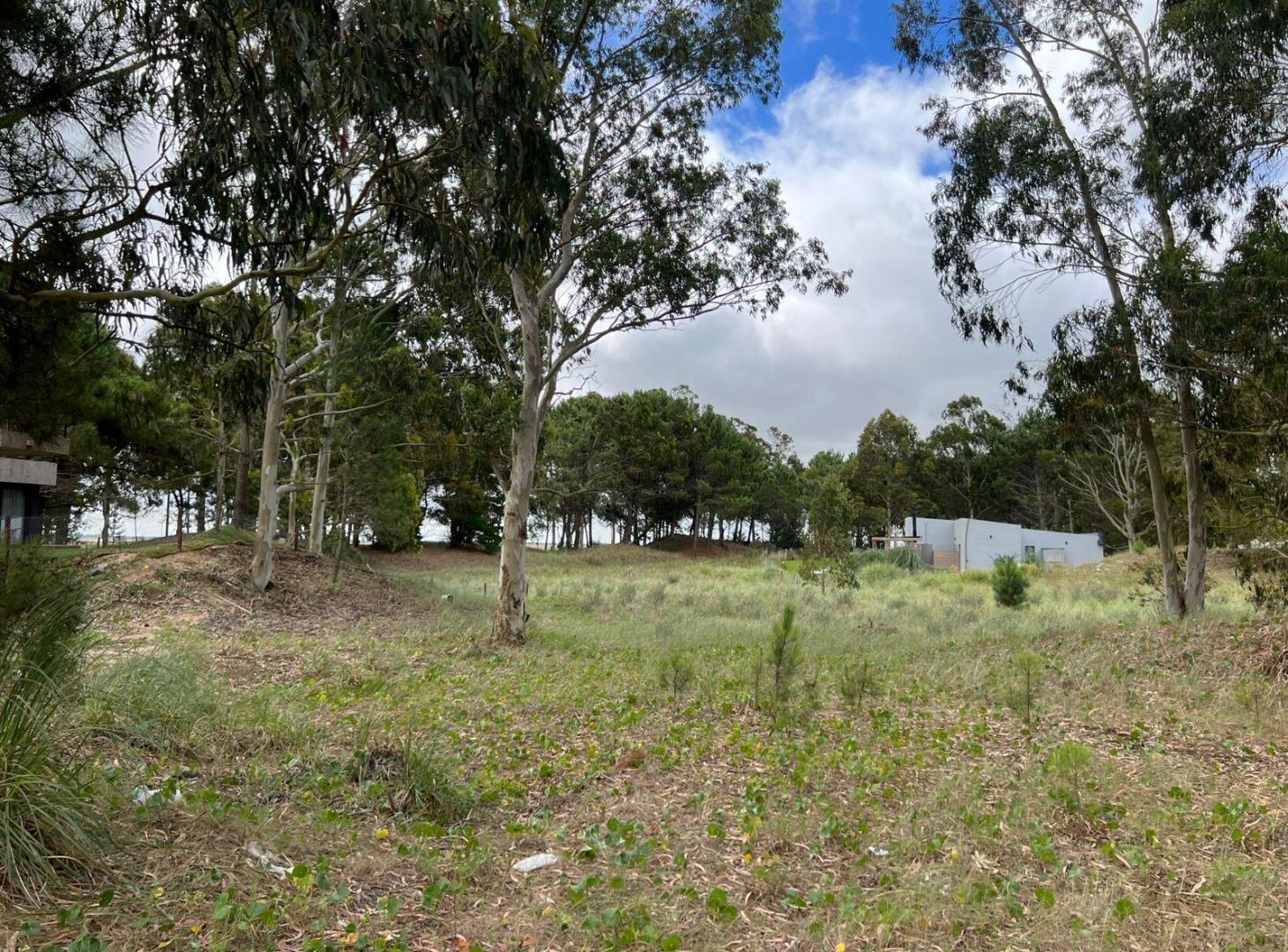 LOTE EN VENTA Interno    BARRIO ECUESTRE   COSTA ESMARALDA