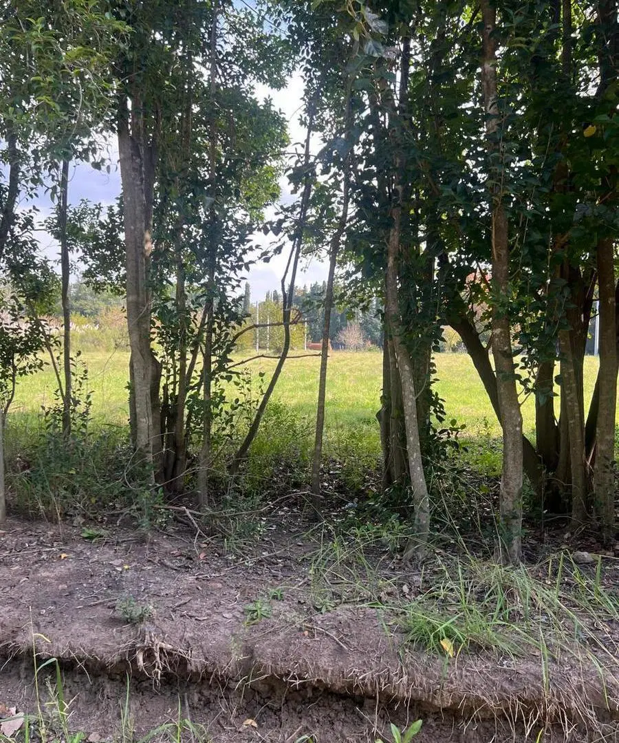 Lote en venta Barrio Semicerrado Sakura en Chacras de Maschwitz/Escobar. 5