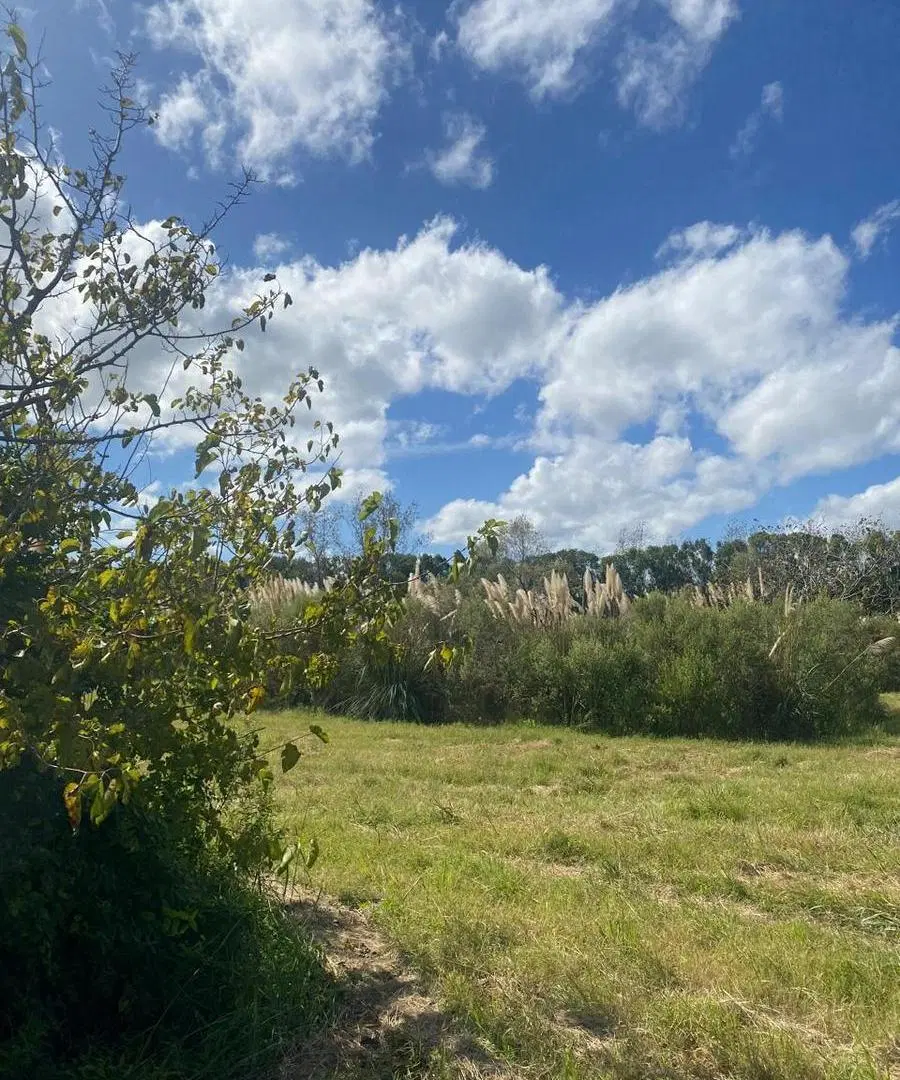Lote en venta Barrio Semicerrado Sakura en Chacras de Maschwitz/Escobar. 8