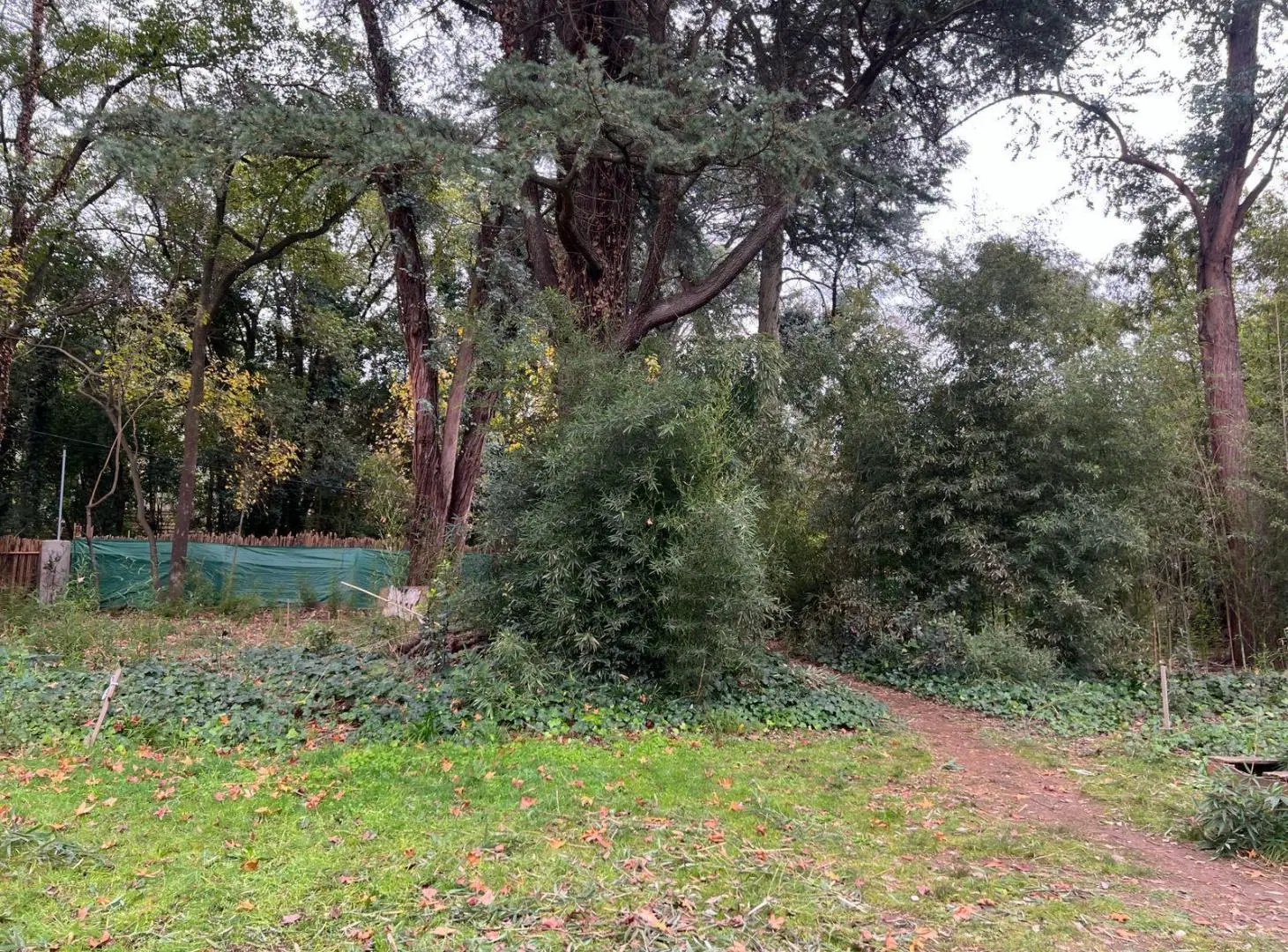 Lote en venta  barrio semicerrado sin expensas  Andres Bello al 200  Maschwitz 4