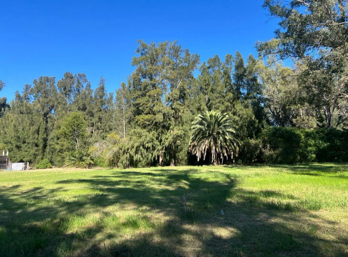 Lote en venta Maschwitz la pista  Barrio semicerrado sin expensas Ideal proyecto casa con naturaleza 4