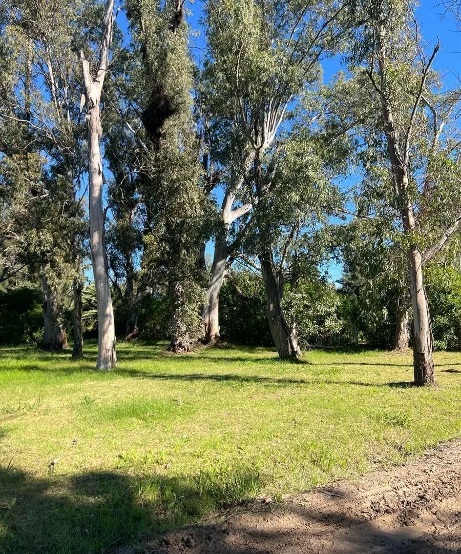 Lote en venta Maschwitz la pista  Barrio semicerrado sin expensas Ideal proyecto casa con naturaleza 2