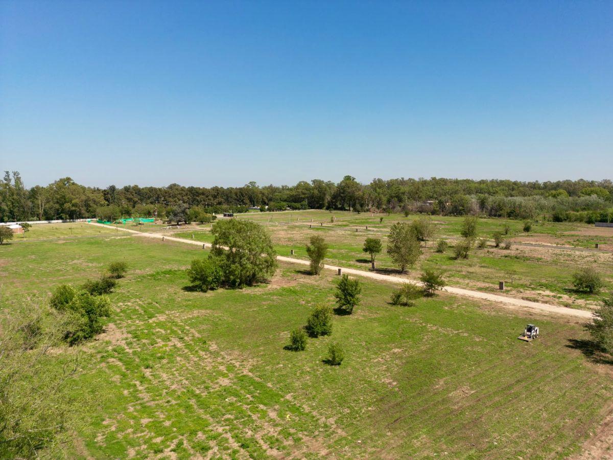 Foto de LOTES EN GARDENIAS DEL OESTE, imagen 2