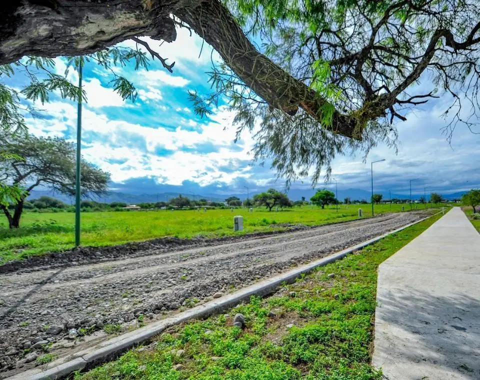 Terreno Venta Via Aurelia Avda Principal 3