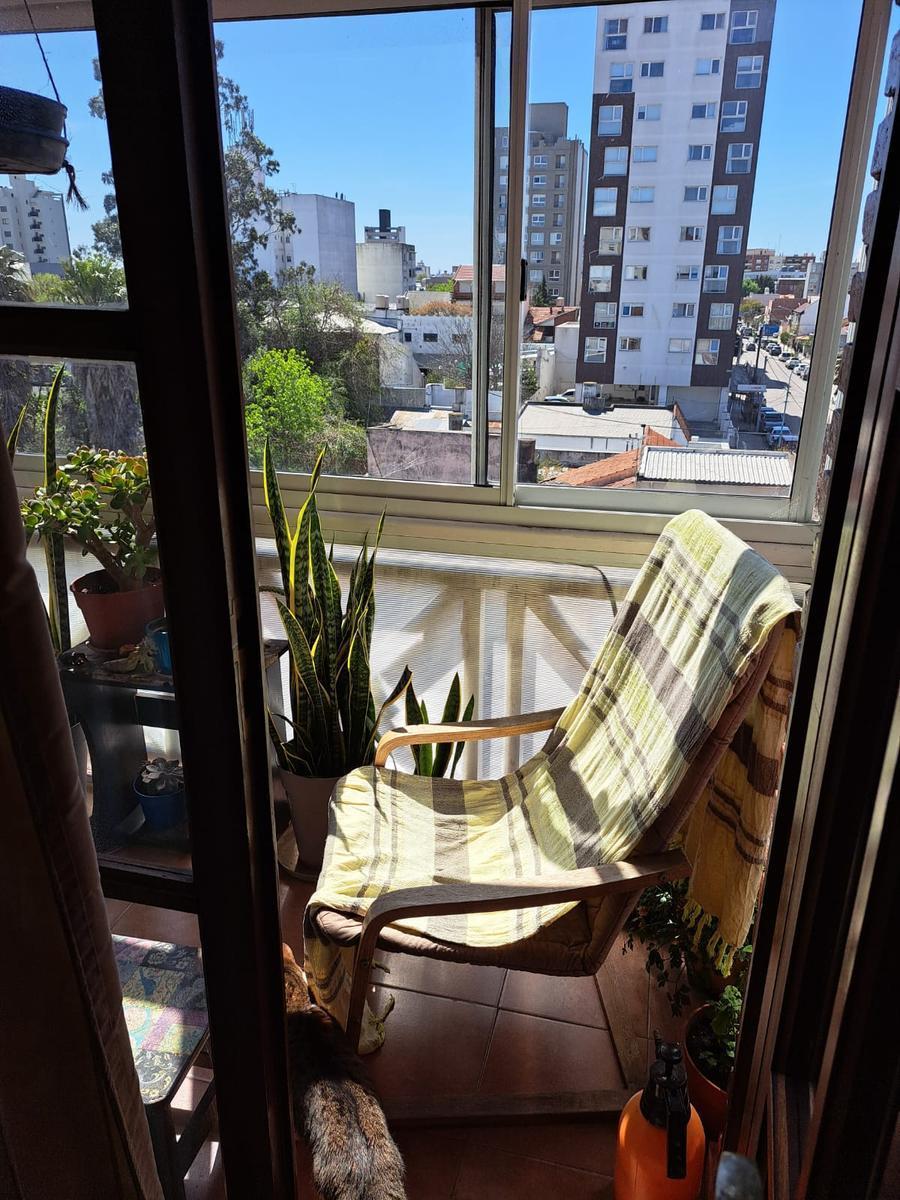 Departamento de 3 Ambientes con Cochera en Barrio Chauvin en Mar del Plata 2