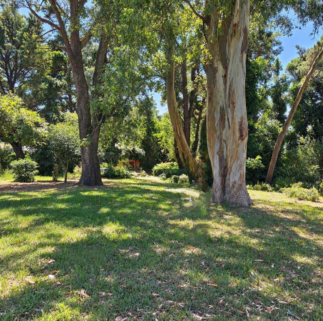 Foto de VENTA TERRENO 600M2 SIERRA DE LOS PADRES, imagen 1