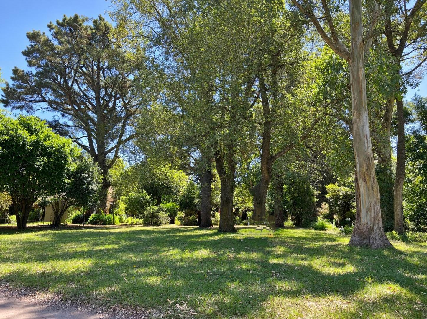 Foto de VENTA TERRENO 600M2 SIERRA DE LOS PADRES, imagen 2