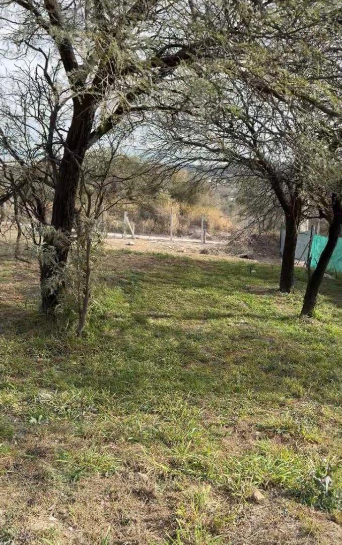 Foto de MAITENES DE LA DESEADA CERCANO A LA GUARDIA 458,6 M2 ENTREGA 53.000 D, imagen 4