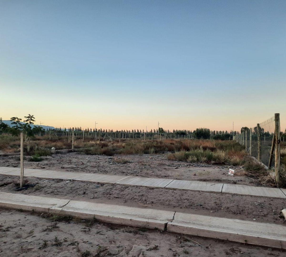 Lote. | Terrada Al 5100 2
