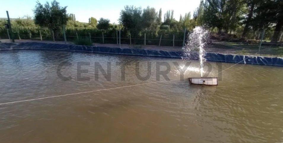 Lote Venta - Maipu - Mendoza 2