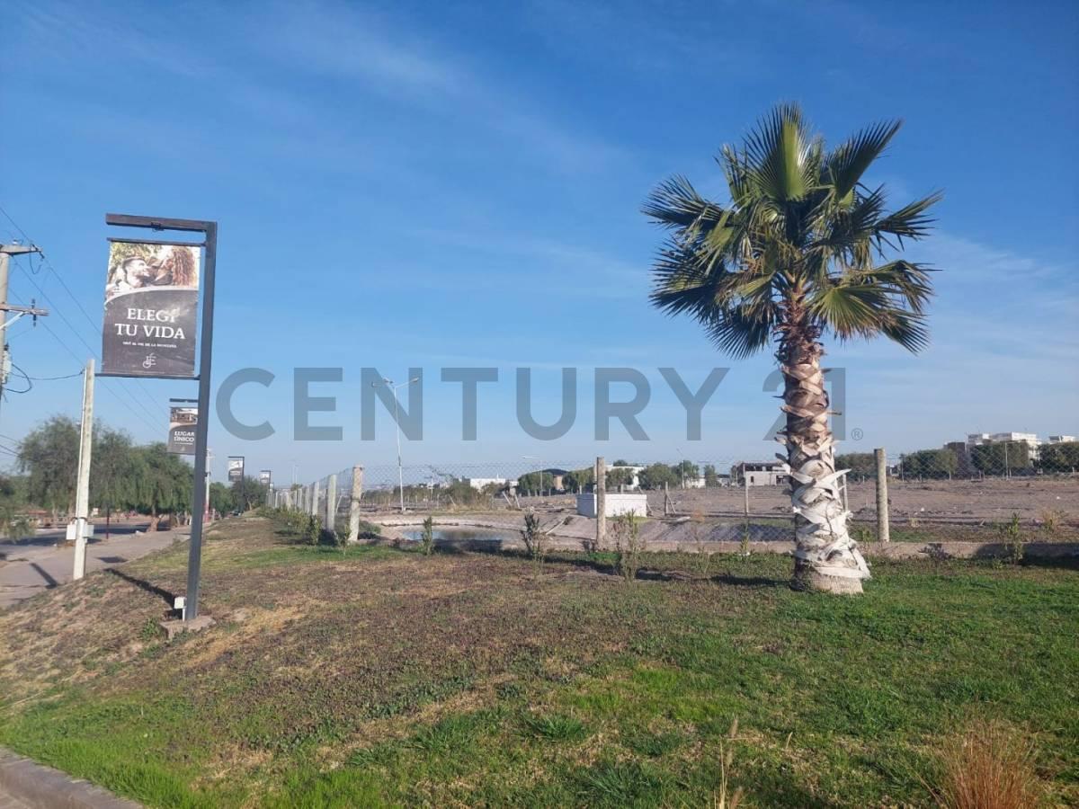 Lote en Venta 2