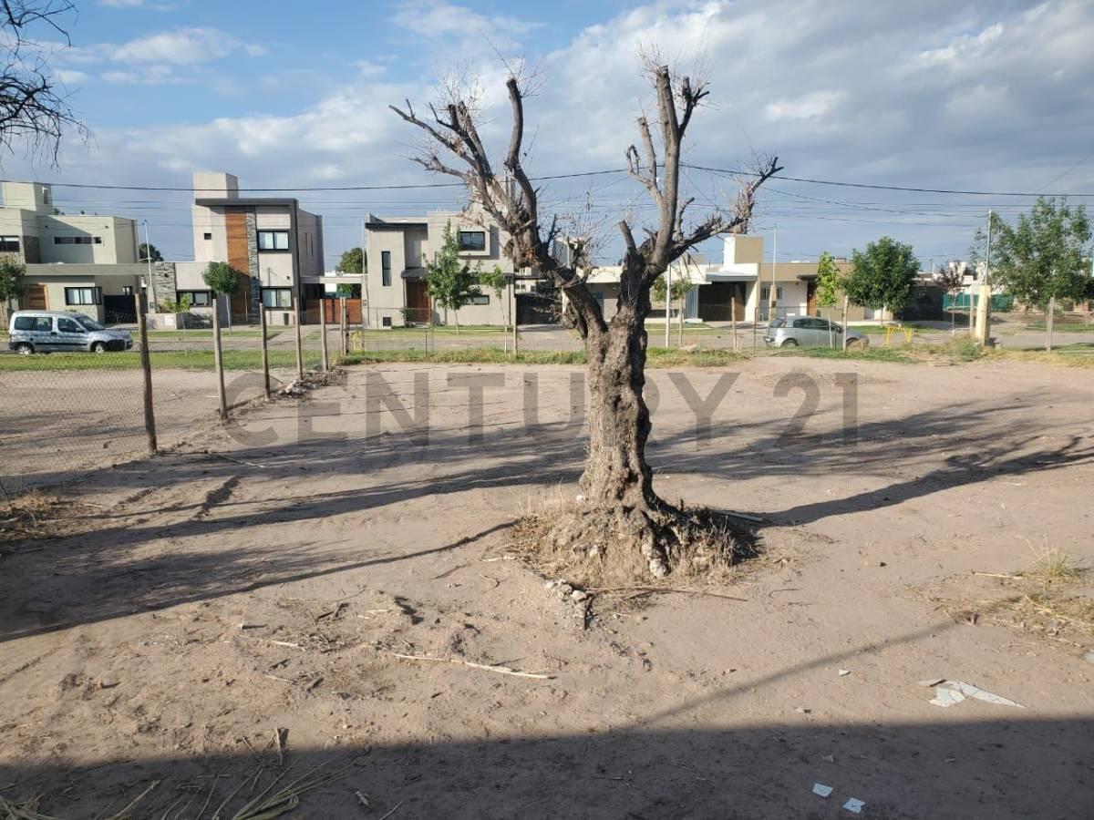 Lote en Venta 4