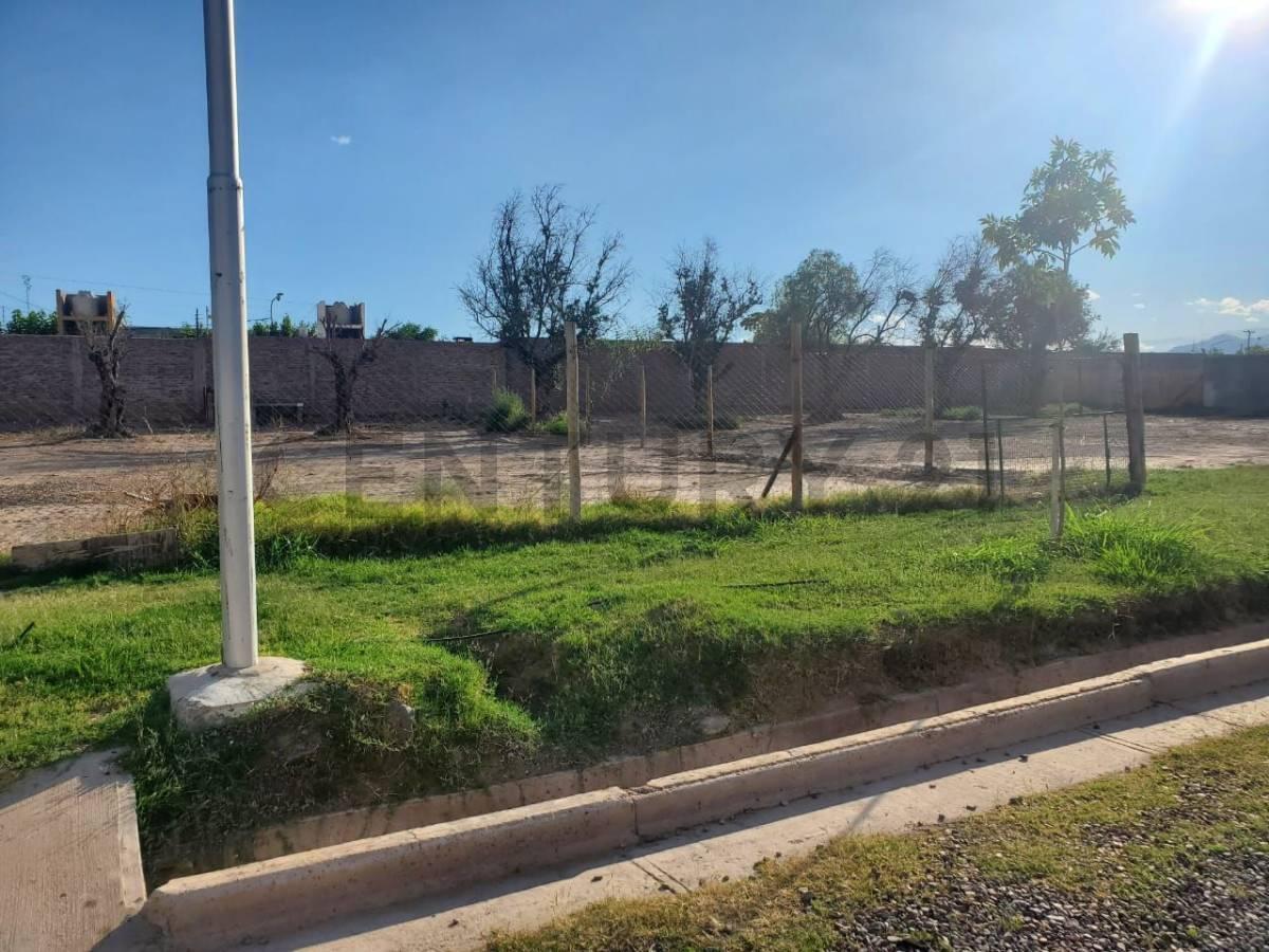 Lote en Venta 5
