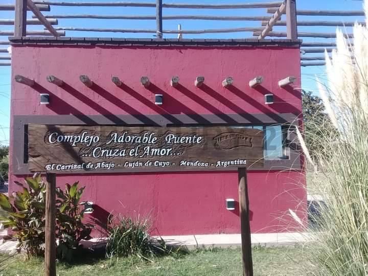 Venta Lote - El Carrizal Abajo - Lujan de Cuyo - Mendoza 2