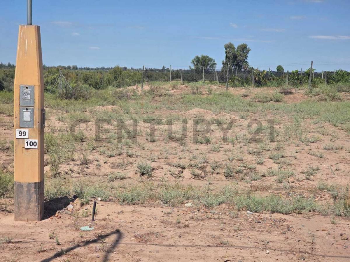 Lote en Venta - B° Las Margaritas - Maipú. Id: 5