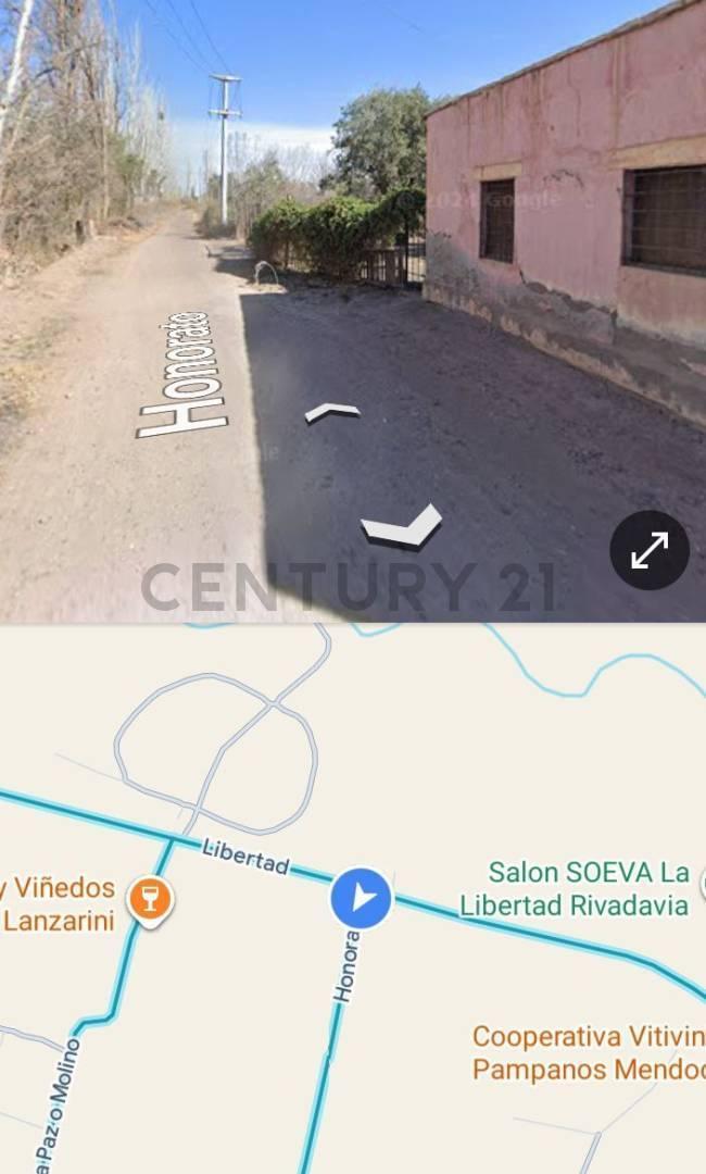 Foto de VENTA DE FINCA EN DISTRITO LA LIBERTAD- RIVADAVIA, MENDOZA. ID: 349793, imagen 2