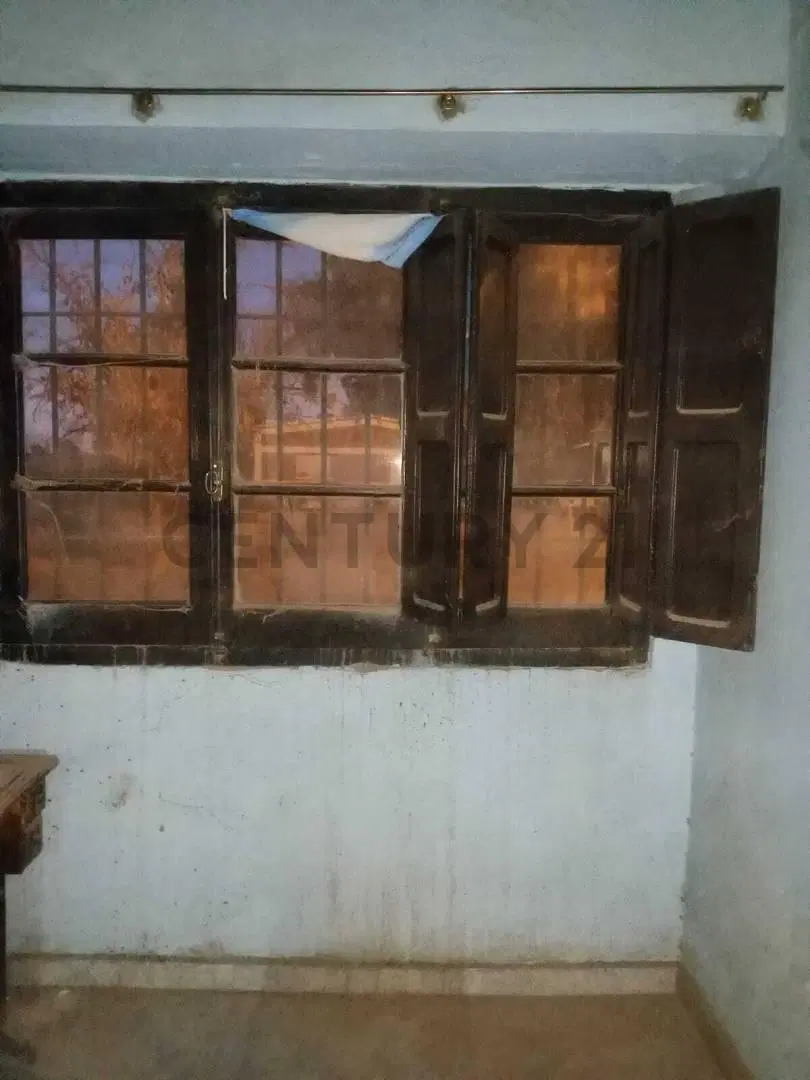 VENTA DE FINCA EN DISTRITO LA LIBERTAD- RIVADAVIA, MENDOZA. ID: 349793 4
