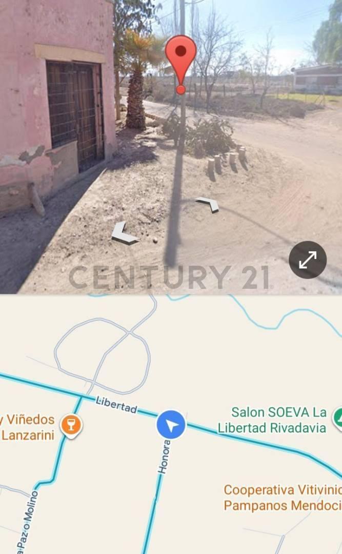 Foto de VENTA DE FINCA EN DISTRITO LA LIBERTAD- RIVADAVIA, MENDOZA. ID: 349793, imagen 3