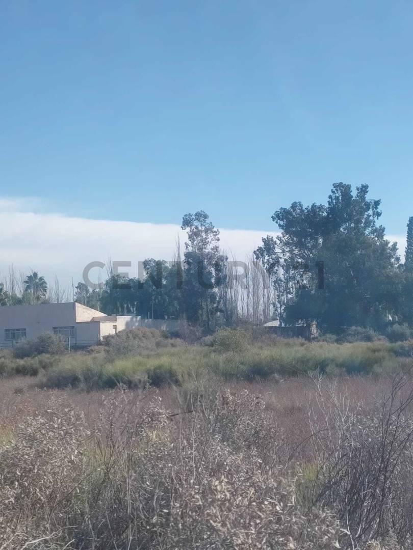 Foto de la propiedad en Milagros esquina Roque Saez Peña s/n, Guaymallén, Mendoza