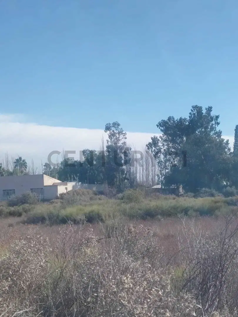 VENTA DE TERRENO EN COLONIA SEGOVIA, GUAYMALLÉN, MENDOZA- ID: 359326 6